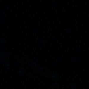 Meet your Posher, Raven